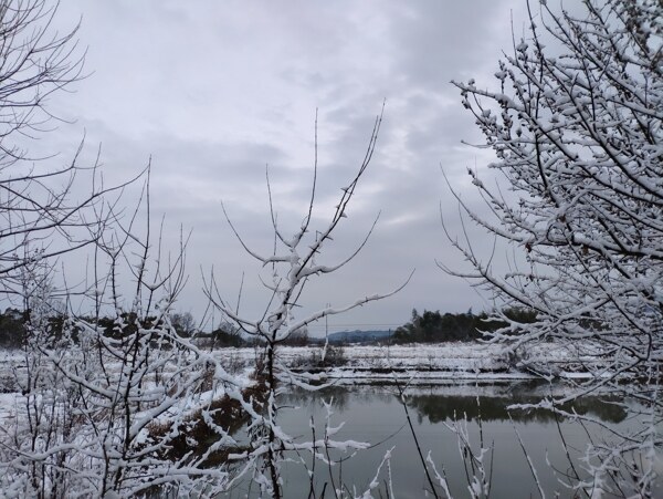 雪景