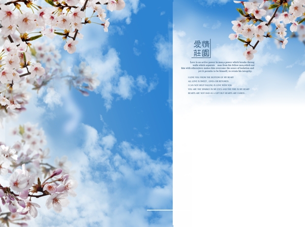 花朵攝影模板圖片