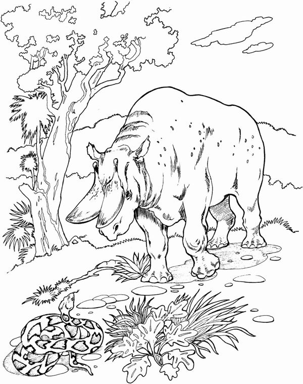 手繪動物畫動物素描