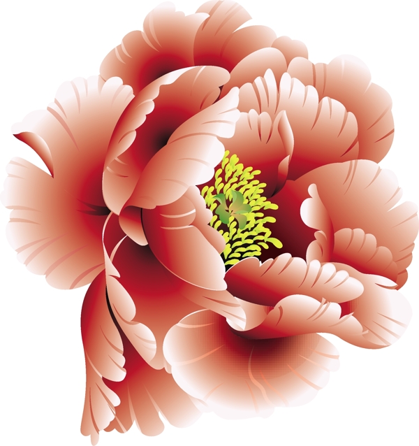 精美牡丹花矢量素材
