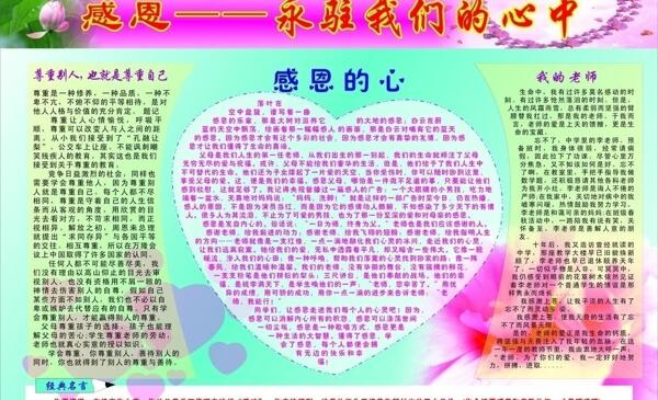 感恩宣傳欄圖片