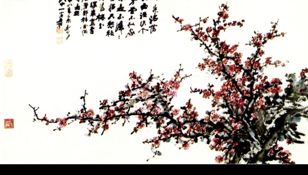 張大片