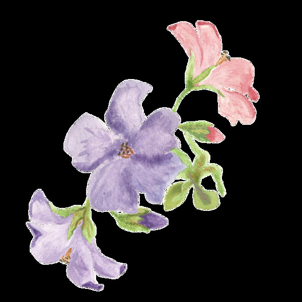 蓝紫花束卡通透明素材
