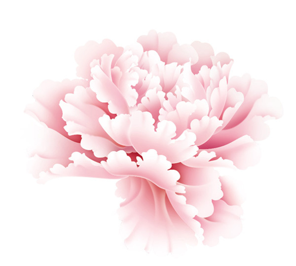 雍容的華貴