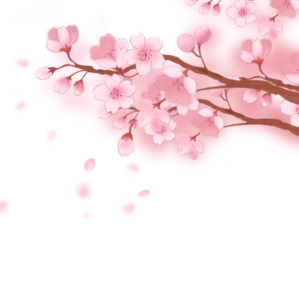 樱花树樱花节春天手绘装饰免扣