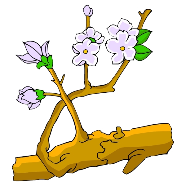 花卉古典插畫(huà)