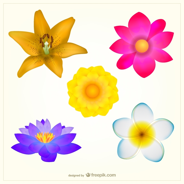 五顏六色的鮮花包裝