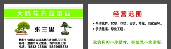 花卉名片圖片