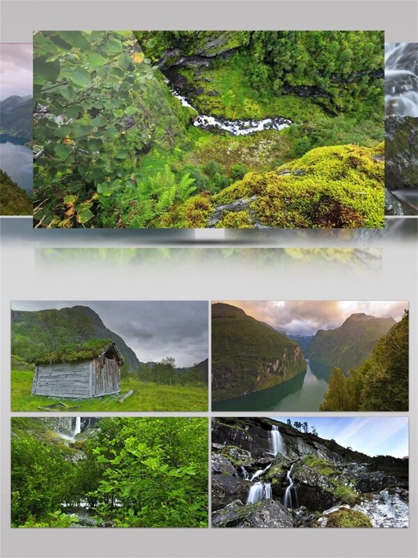 挪威森林自然风光视频音效