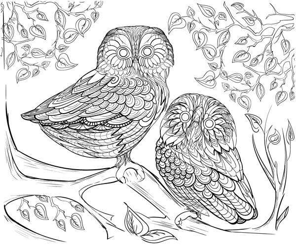 黑白手绘可爱的猫头鹰插画