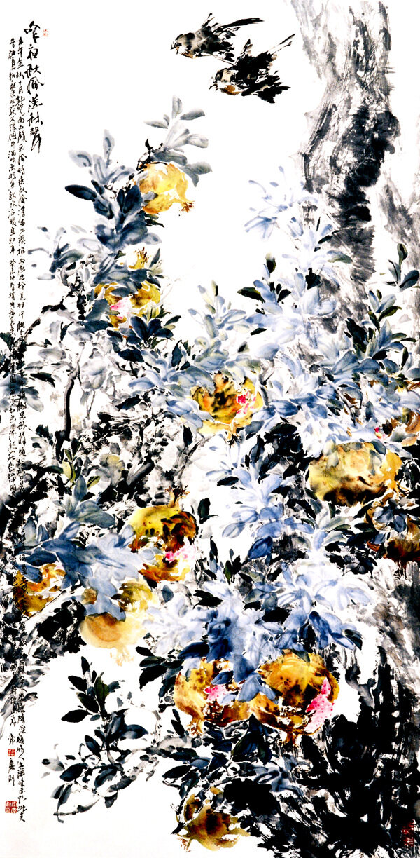 月季花圖片