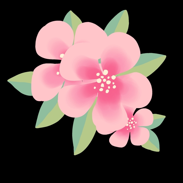 粉色的美丽樱花插画