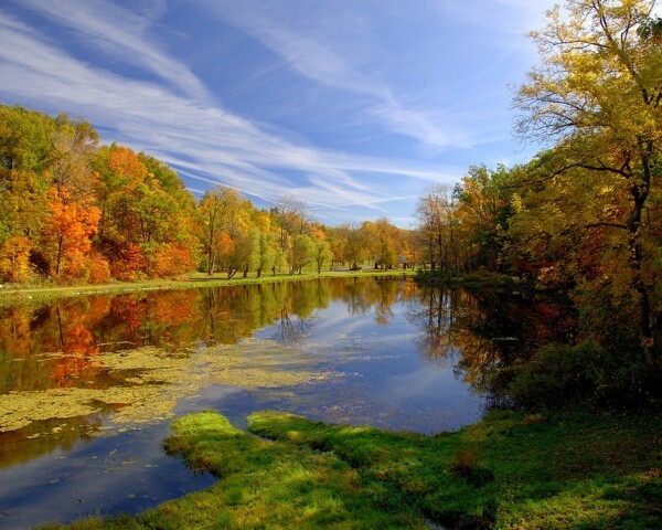 秋季自然森林河流风景