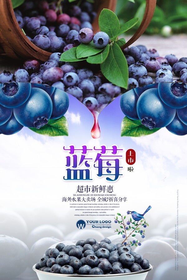 清新蓝莓海报