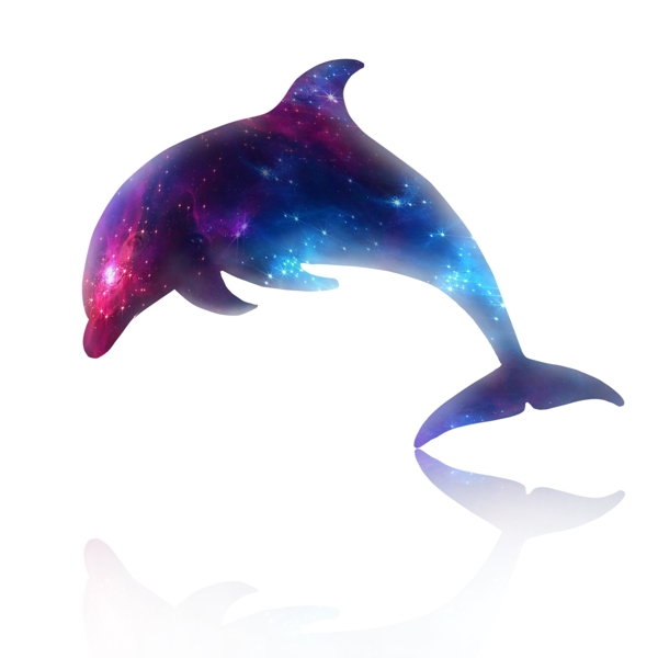 多彩星空海豚可商用元素