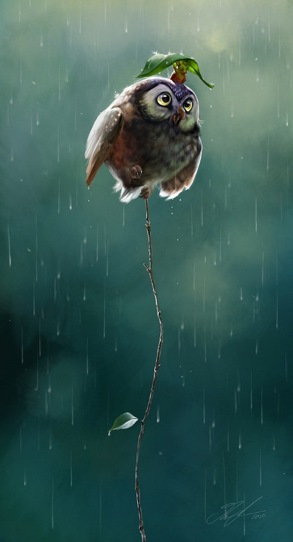 插畫