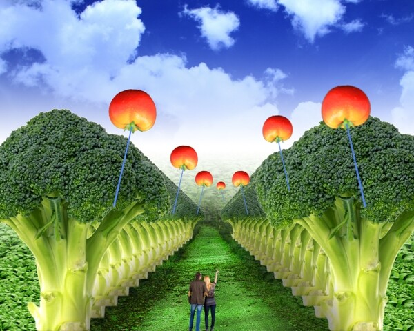 花菜林圖片