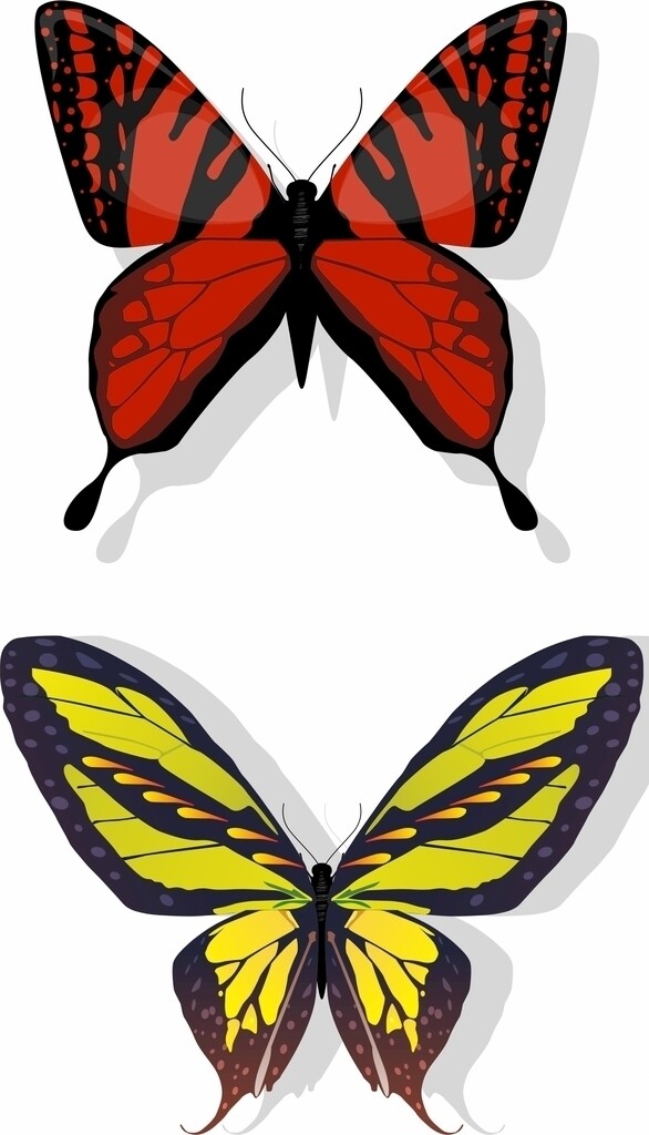 蝴蝶矢量图片
