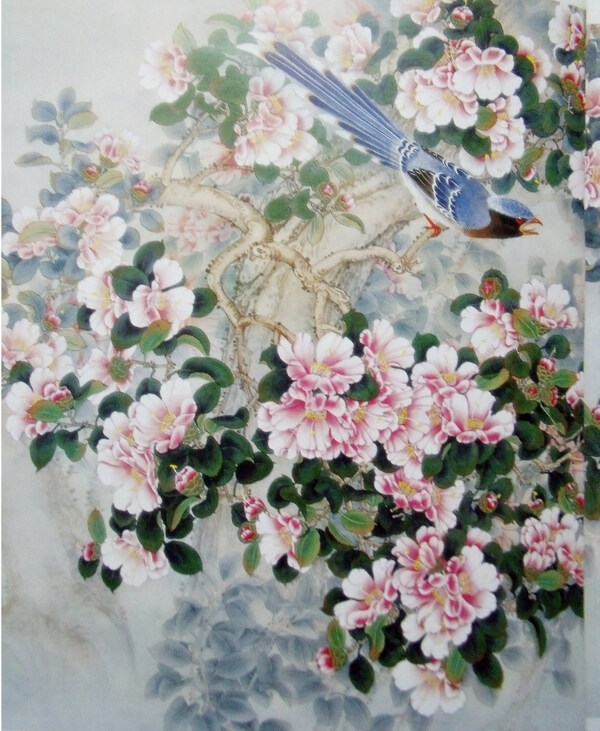 喜鵲花鳥(niǎo)畫(huà)圖片
