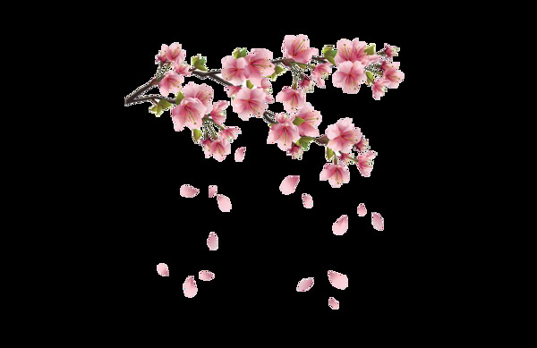 清新粉色花朵元素