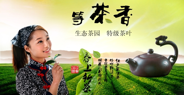 茶叶广告宣传海报