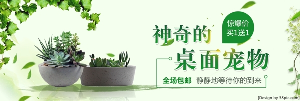 绿色小清新植物盆栽多肉神奇的桌面宠物电商海报banner