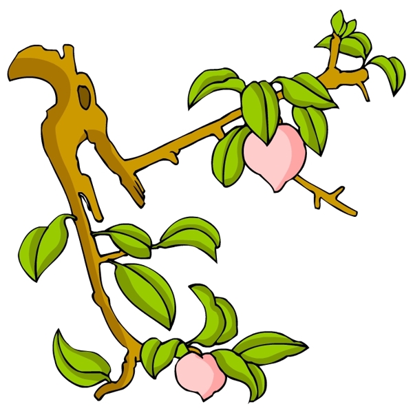 花卉古典插畫