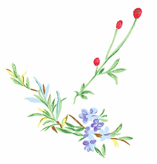 位圖成熟優(yōu)雅女裝T恤圖案毛衫印花優(yōu)雅植物免費(fèi)素材