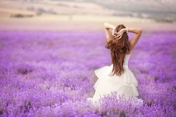 紫色花海美女的背影图片