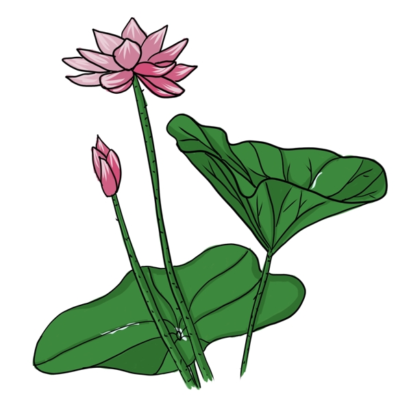 手繪中國風(fēng)荷花PNG素材