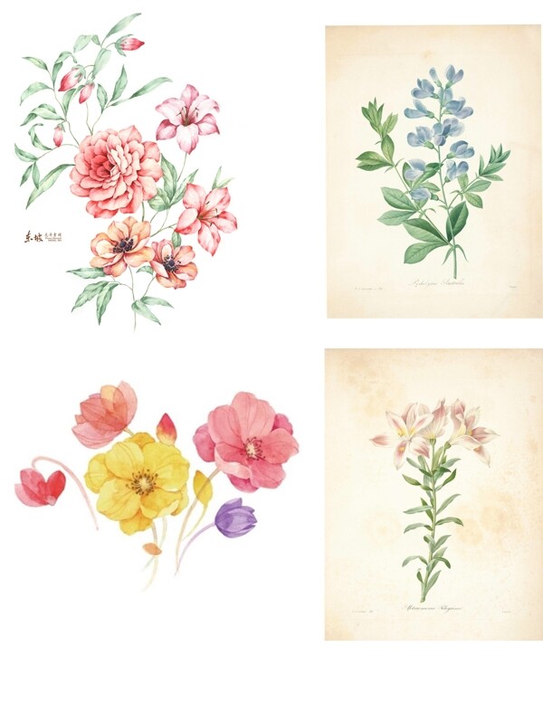 清新浪漫的手绘水彩花卉免费下载