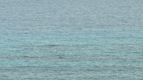 美丽的蓝色海洋从百慕大群岛股票视频海岸视频免费下载
