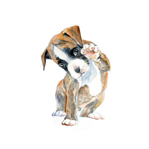 位圖插畫動物插畫藝術效果手繪免費素材