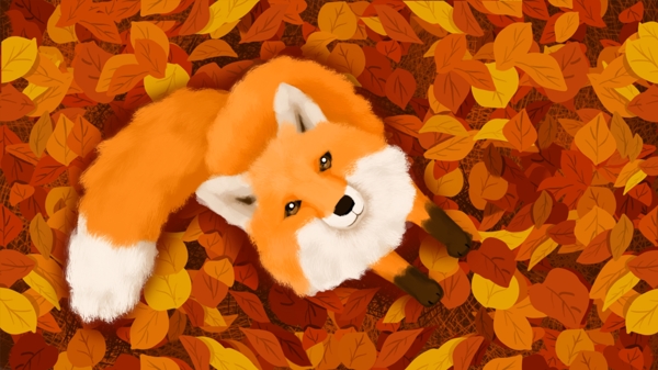 二十四节气秋分之落叶之森的狐狸治愈心灵