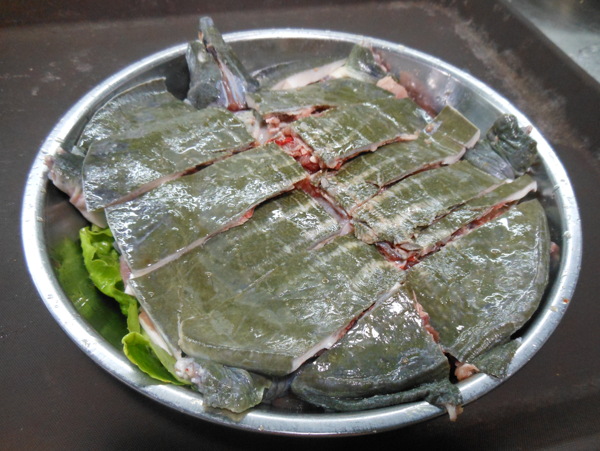 水魚(yú)