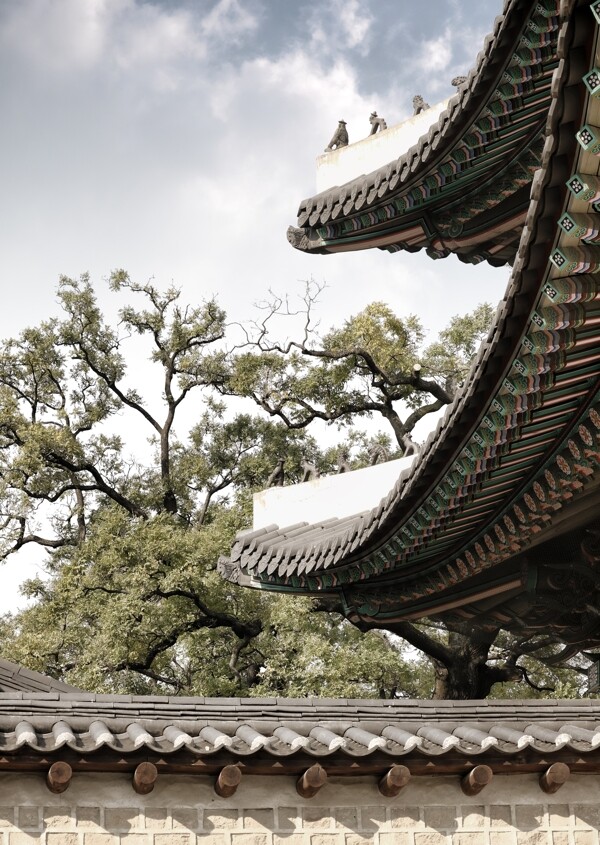 中式传统建筑风景