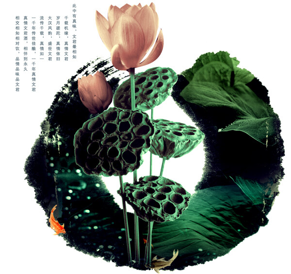 蓮花蓮蓬圖