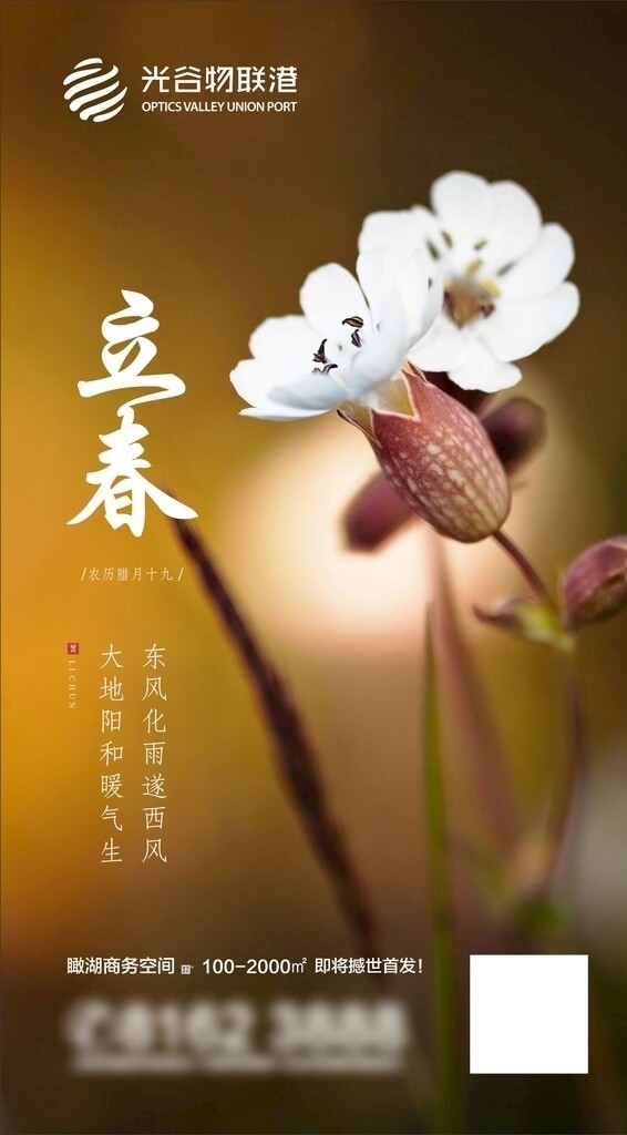 立春
