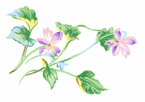 位圖成熟優(yōu)雅女裝植物毛衫印花優(yōu)雅植物免費(fèi)素材