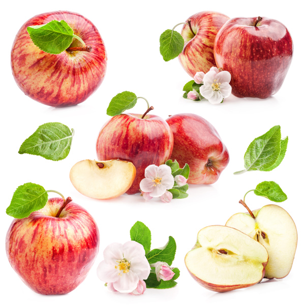 苹果与苹果花图片素材