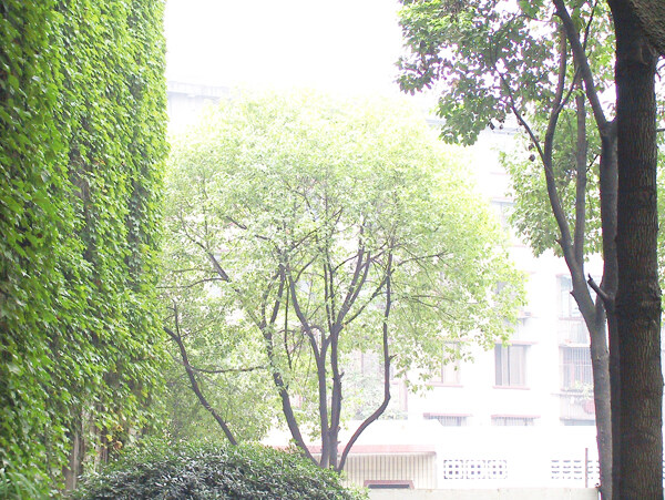 室內(nèi)客廳模型