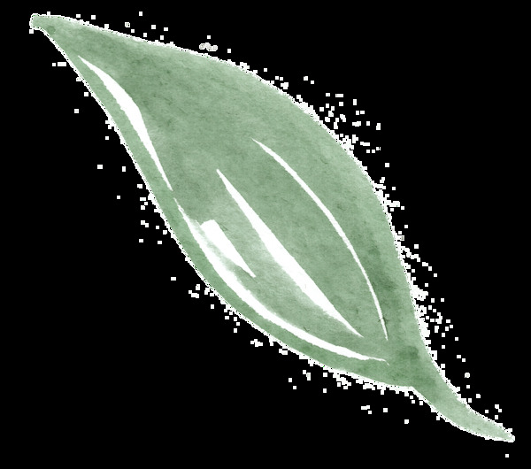 草綠枝葉卡通透明素材