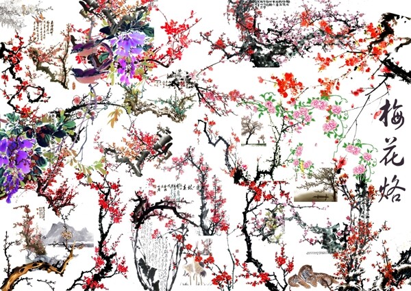 梅花圖片