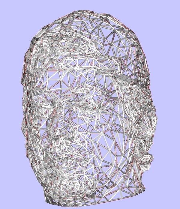 rafheadnet
