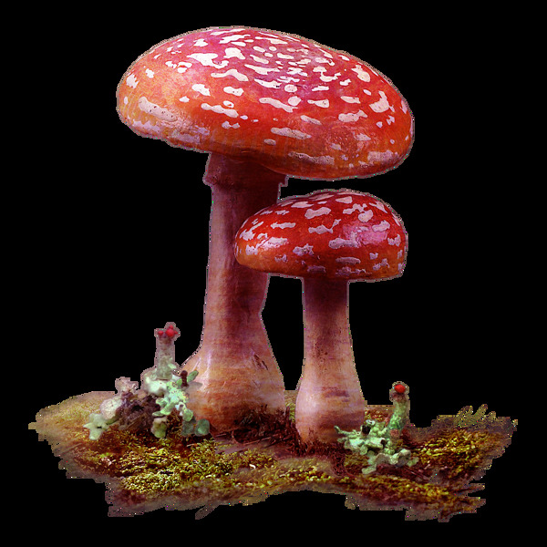 手绘红色蘑菇元素