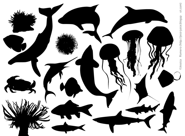鱼类生物系列海洋生物