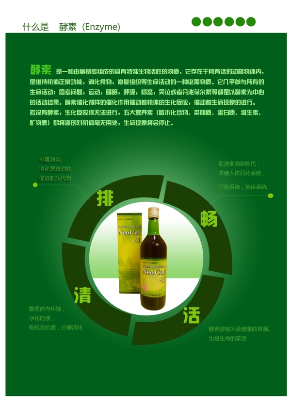 酵素的功能圖片