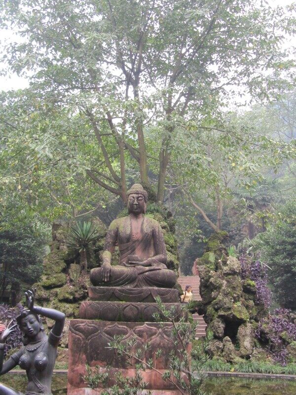 林蔭下的圣佛