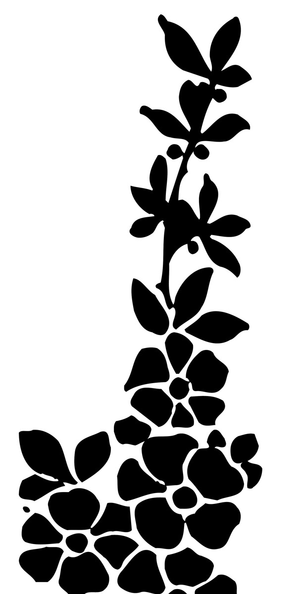 花邊素材