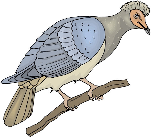 各種鳥類鳥動物矢量素材EPS格式0378
